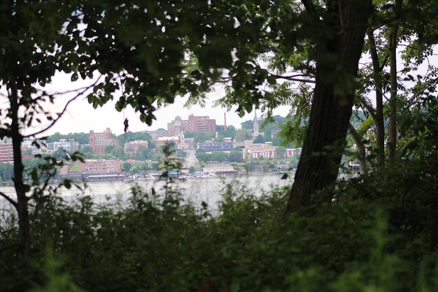 Jetant un coup d'œil à travers les arbres à Newburgh