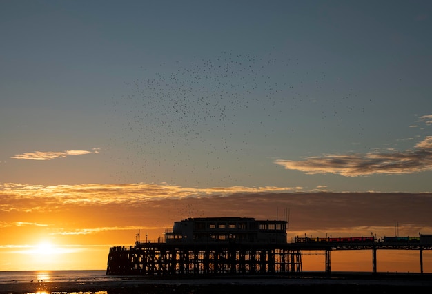 Une jetée au coucher du soleil avec un murmure d'étourneaux.