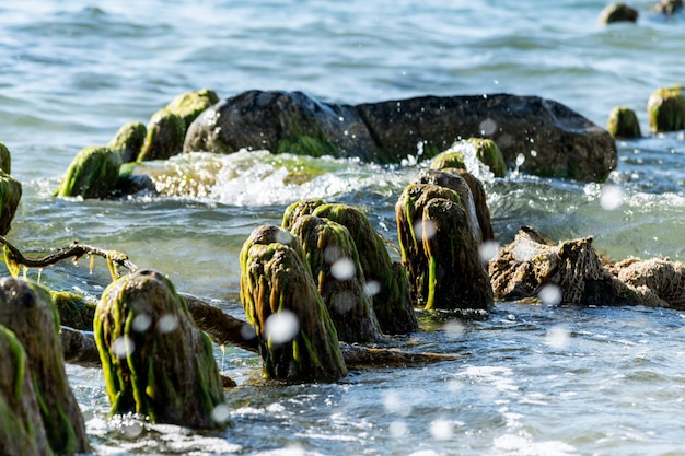 Jetée en bois cassée reste en mer. Belle couleur de l'eau sous le soleil. Marée et embruns. Vieux poteaux en bois recouverts d'algues.