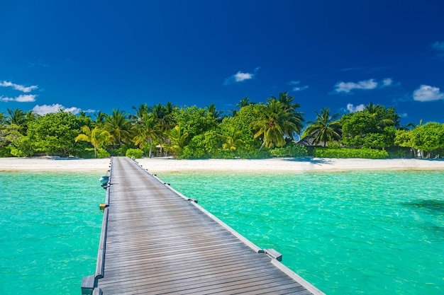 Jetée en bois sur la côte de l'île paradisiaque, paysage tropical. Nature de plage, paysage de mer des Maldives