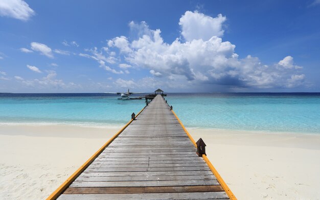 jetée en bois sur une île tropicale Maldives