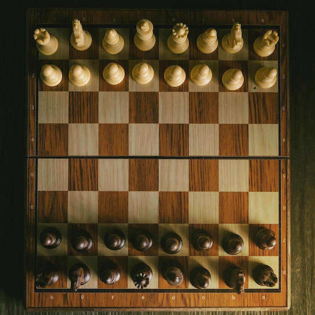 Jeu D'échecs Que La Guerre Commence