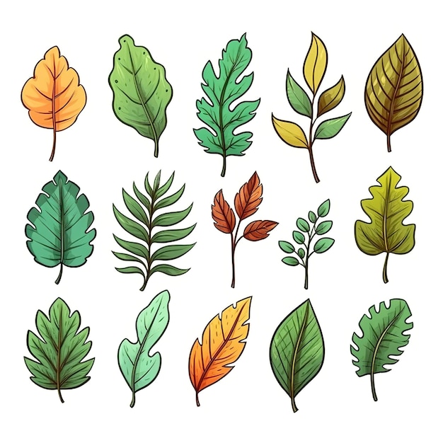 Photo jeu d'illustrations de collection de feuilles