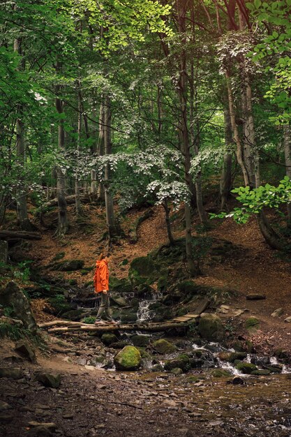 Jeune, actif, femme, randonnée, vert, forêt