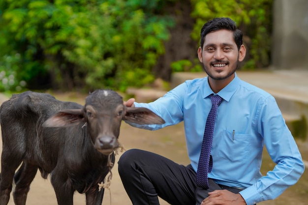 Jeune agent d'élevage indien ou banquier avec veau