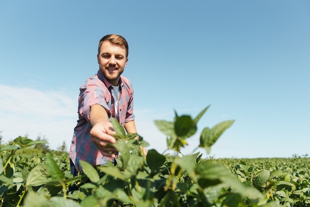 Jeune agriculteur dans les champs de soja