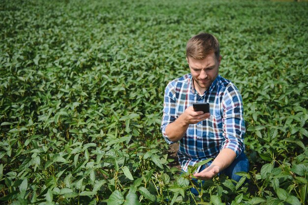 Jeune agriculteur dans les champs de soja