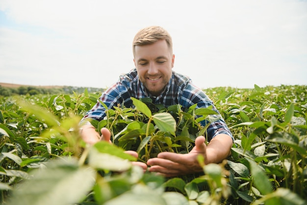 Jeune agriculteur dans les champs de soja