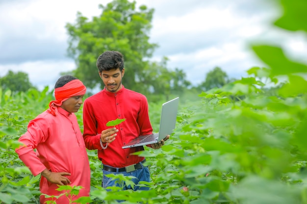 Jeune agriculteur indien avec agronome au champ de coton