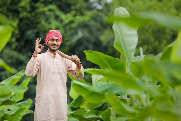 Jeune agriculteur indien au champ d'agriculture de banane verte.