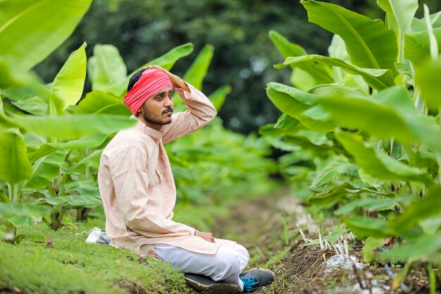 Jeune agriculteur indien au champ d'agriculture de banane verte.