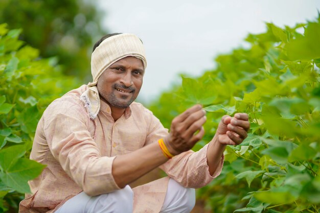 Jeune agriculteur indien au champ d'agriculture de coton vert.