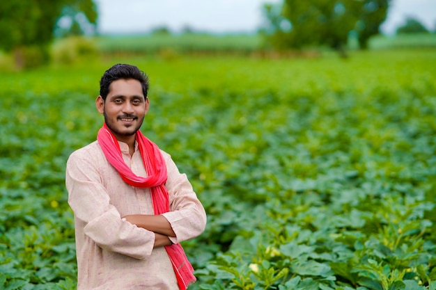 Jeune agriculteur indien au champ de l'agriculture verte.