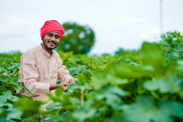 Jeune agriculteur indien au champ de l'agriculture verte.