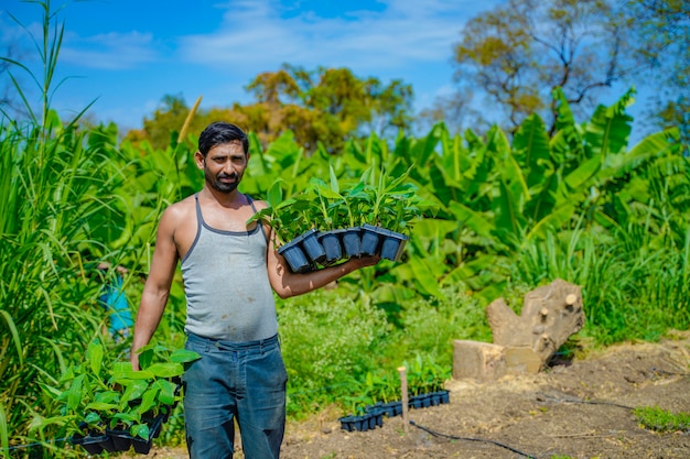 Jeune agriculteur indien au champ de culture de tissus de banane