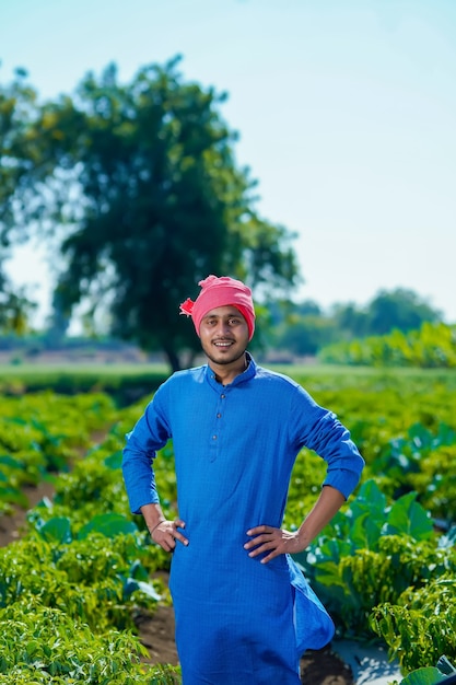 Jeune agriculteur indien debout au champ frisquet vert