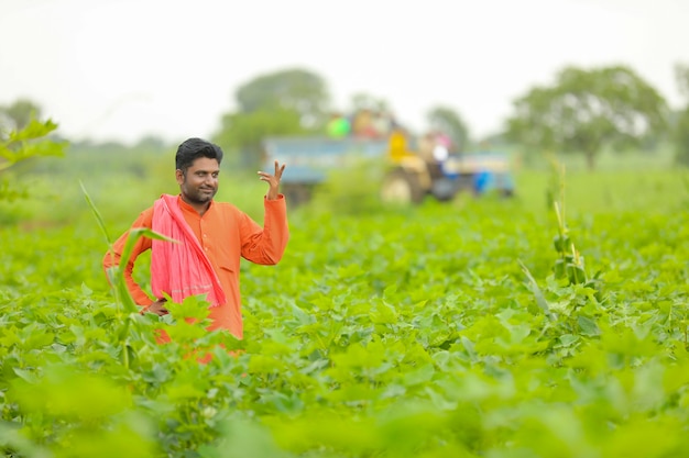 Jeune agriculteur indien debout dans le domaine de l'agriculture du coton.