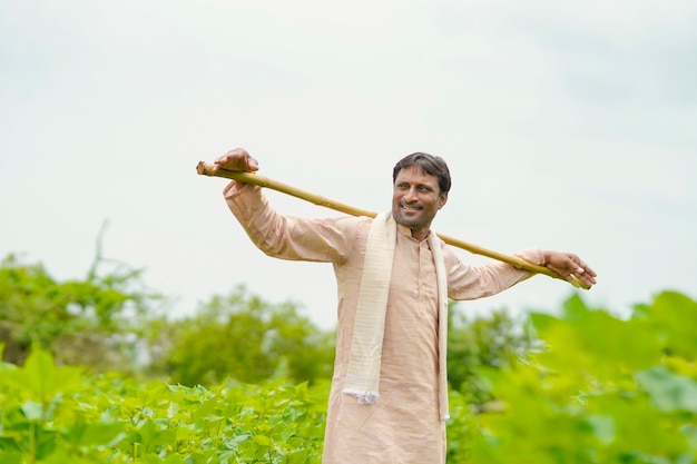 Jeune agriculteur indien debout dans le domaine de l'agriculture du coton.