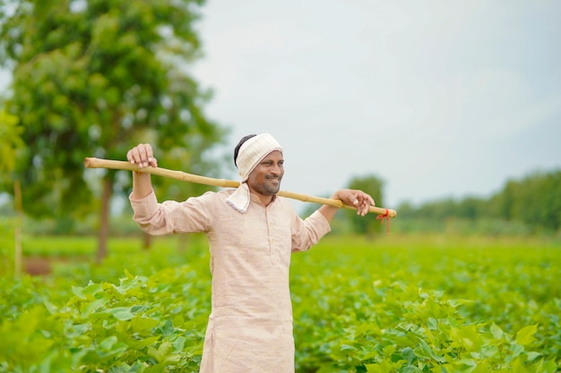 Jeune agriculteur indien debout dans le domaine de l'agriculture du coton.