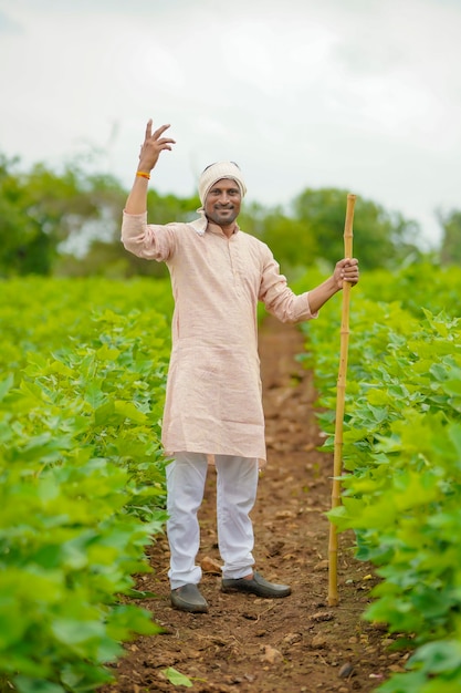 Jeune agriculteur indien debout dans le domaine de l'agriculture du coton.