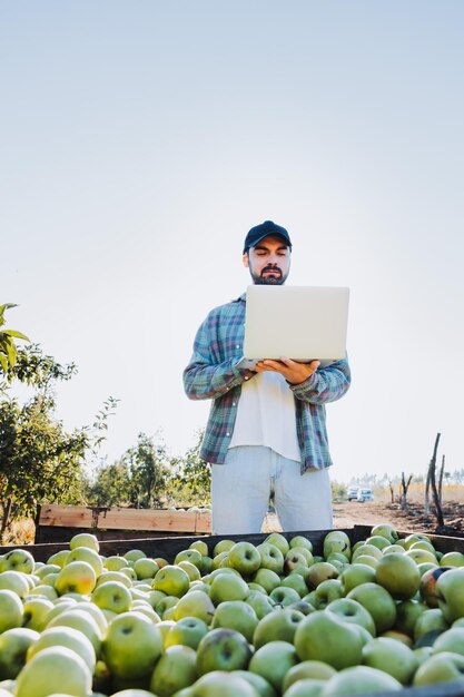 Jeune agriculteur latin télétravaillant sur son ordinateur portable à côté d'une corbeille à pommes