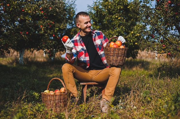 Jeune agriculteur ouvrier cueillant des pommes dans le verger du village pendant la récolte d'automne Heureux homme travaille dans le jardin récoltant des paniers avec des pommes