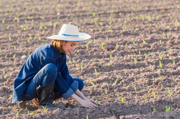 Jeune agriculteur plantant dans un champ de maïs