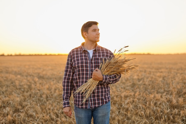 Jeune agriculteur satisfait avec un tas de blé mûr