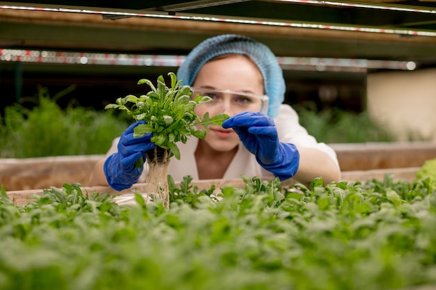 Jeune agricultrice scientifique analyse et étudie la recherche sur le bio