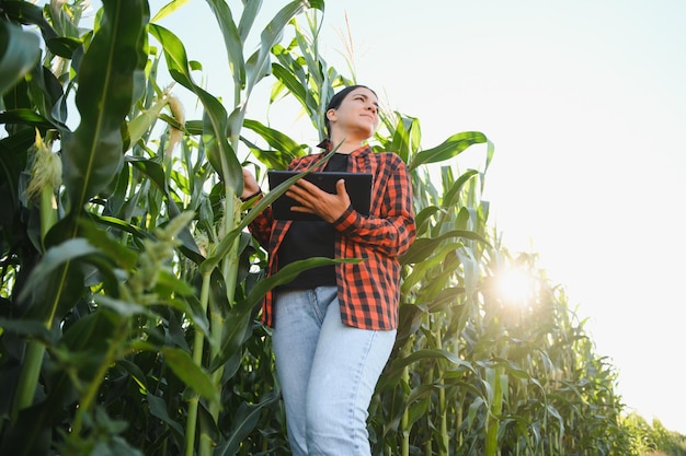 Jeune agricultrice travaillant sur le terrain et vérifiant l'agriculture des plantes et le concept de vie saine