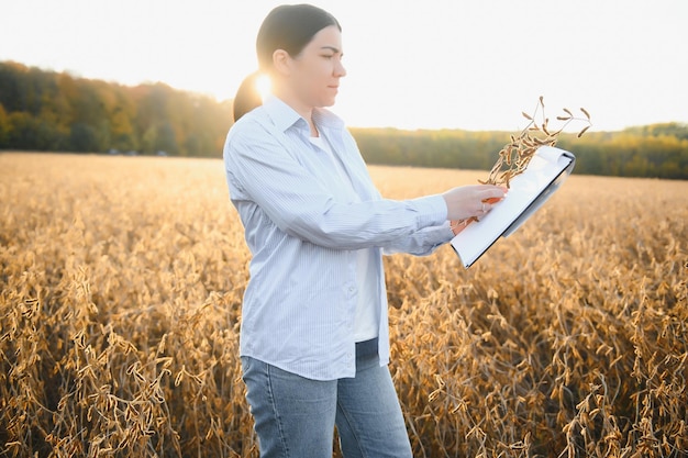 Une jeune agricultrice travaille dans un champ de soja au coucher du soleil