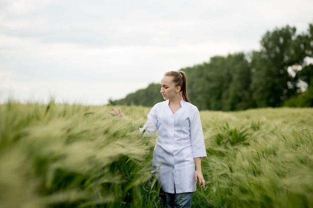 Jeune agronome en blouse blanche accroupie dans un champ de blé vert et vérifiant la qualité de la récolte.