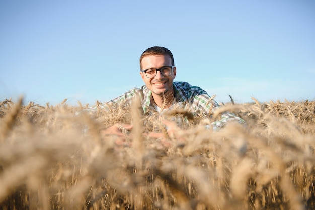 Jeune agronome en champ de céréales. Céréaliculture