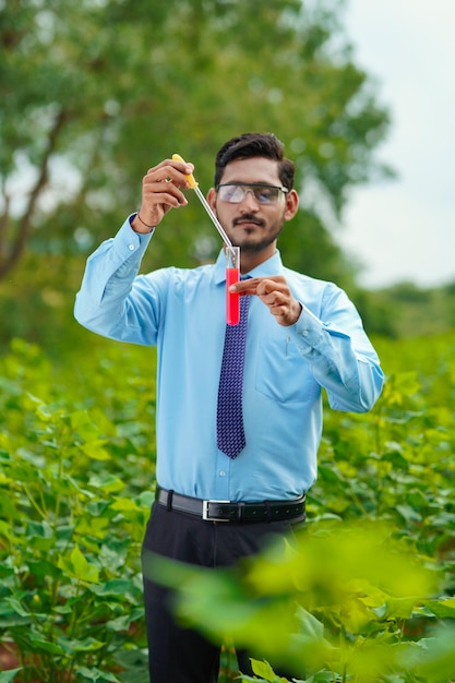 Jeune agronome indien prélevant un échantillon sur le terrain agricole.