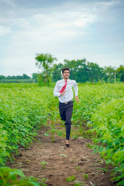 Jeune agronome indien s'exécutant au champ de pois d'Angole