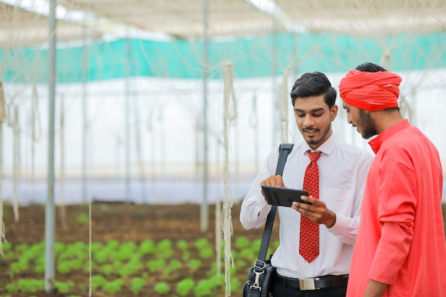 Jeune agronome montrant des informations à l'agriculteur en smartphone à effet de serre