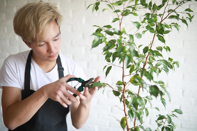 Un jeune asiatique s'occupe des plantes d'intérieur