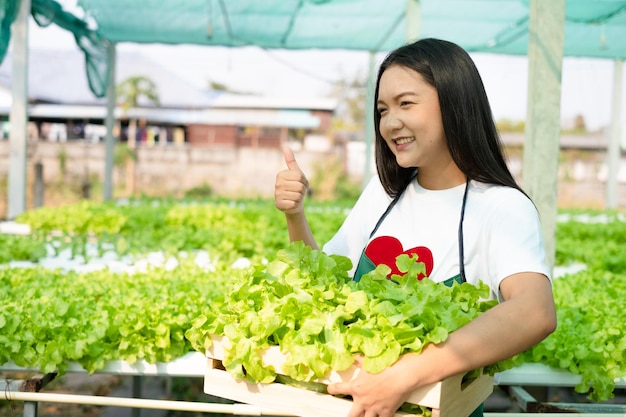 Jeune asiatique travaillant dans un système hydroponique de légumes bio petite ferme de laitue.