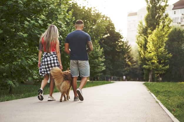 Jeune beau couple promener le chien dans le parc d'été