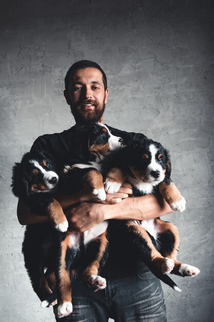 Jeune bouvier bernois dans les mains. Gros plan, photo Studio. Concept de soins, d'éducation, de formation et d'élevage d'animaux