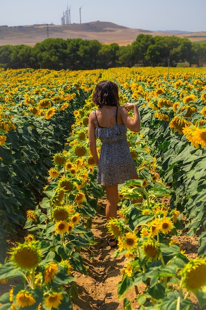 Une jeune brune caucasienne appréciant de beaux tournesols