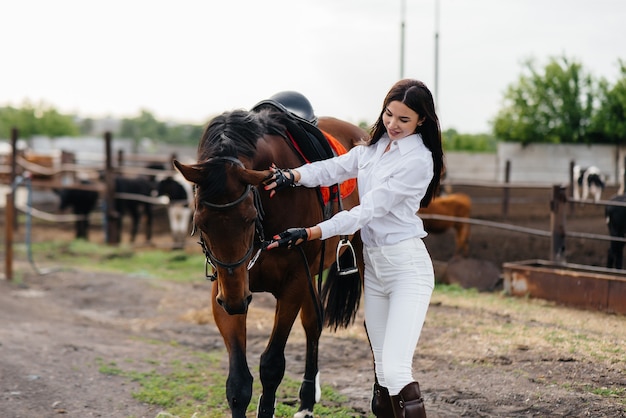 Un Jeune Cavalier Jolie Fille Pose Près D'un étalon Pur-sang Dans Un Ranch. équitation, Courses De Chevaux.