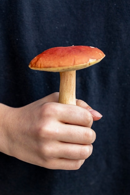 Jeune champignon cèpes à chapeau orange dans la main des filles Nourriture végétarienne