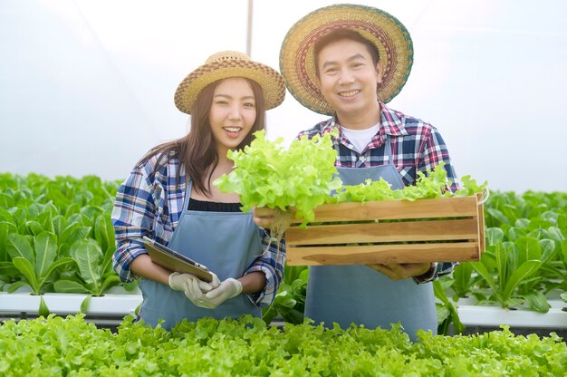 Un jeune couple d'agriculteurs travaillant dans une serre hydroponique, une alimentation propre et un concept d'alimentation saine