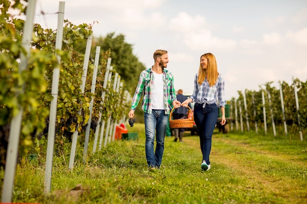 Jeune couple dans le vignoble