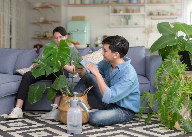 Jeune couple gay souriant prenant soin de la plante d'intérieur dans le salon à la maison