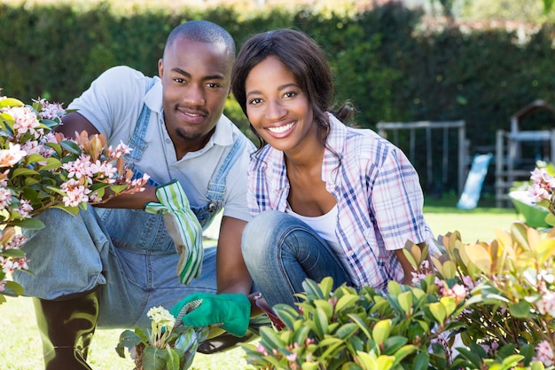 Jeune couple, jardinage, ensemble