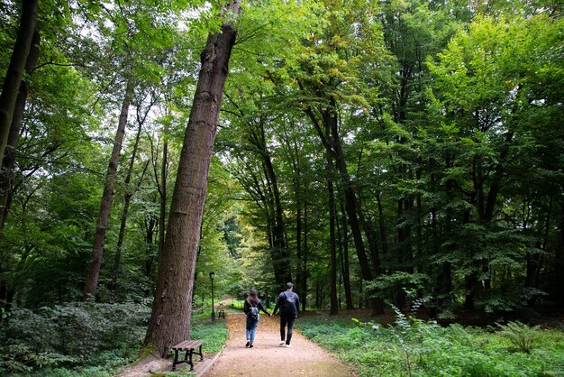 jeune couple, marche, par, parc ville, tenant mains