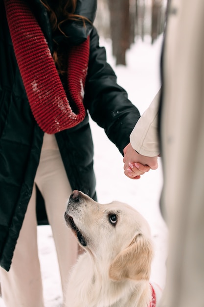 Jeune couple marié se tenant la main à côté de chien assis dans la neige