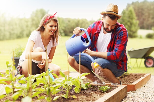 jeune couple plantant des légumes et des herbes biologiques